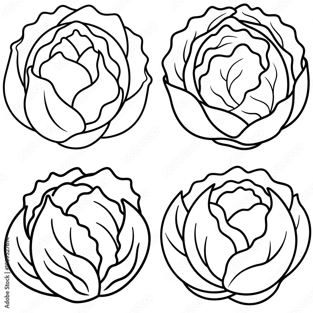 Obraz premium Cabbage Coloring Page