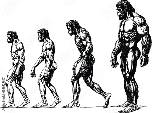 Vector illustration: Human evolution stages, powerful ape to man, ink style