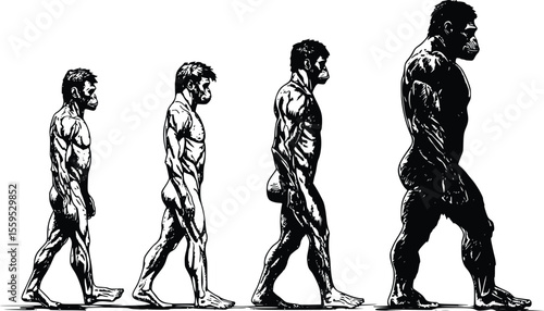 Vector illustration: Human evolution stages, dramatic, ink style
