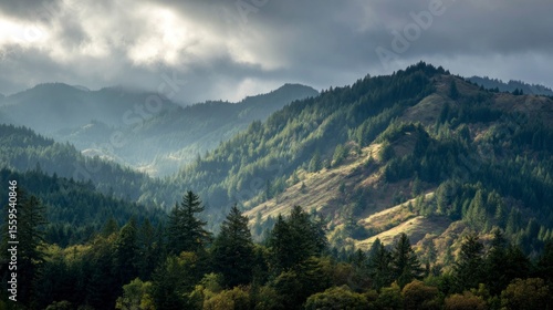 Mountain forest landscape with sunlight
