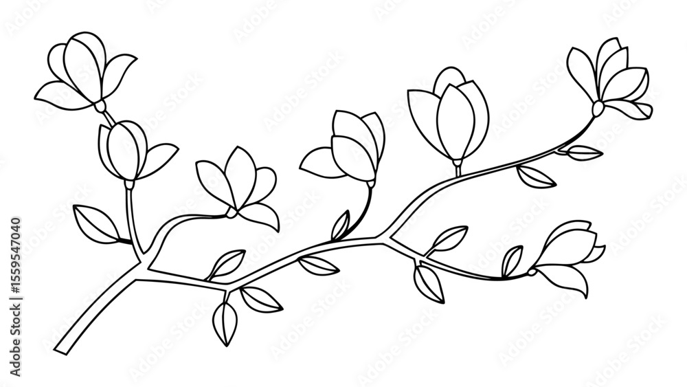 Fototapeta premium Magnolia flower, magnolia tree branch line art