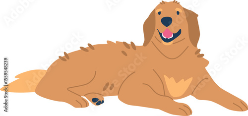 Golden retriever resting vector illustration