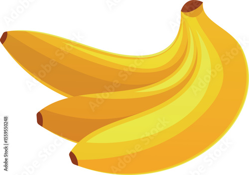 Fresh ripe banana bunch vector illustration