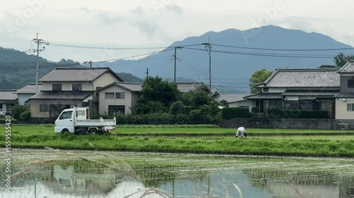  A Japanese farmer bends down working in a rice field beside a small white truck. Traditional houses and a scenic mountain view complete this peaceful countryside scene.