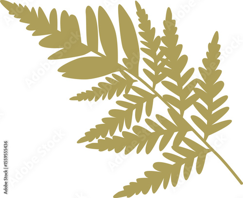 Fern leaf natural element vector illustration