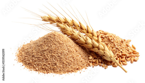 Spelt Bran Grains and wheat Ears on White Background.