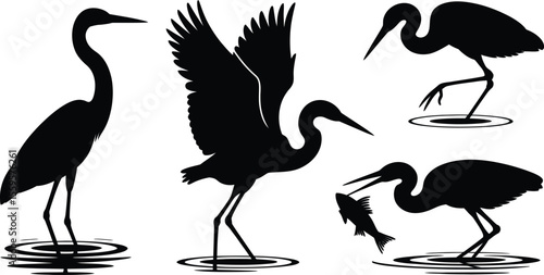 Fishing heron vector silhouettes of birds catching fish and standing in water with ripples