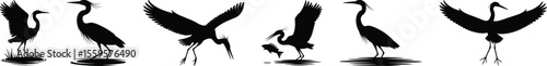 Heron bird silhouette vector set of catching fish and standing in various wetland poses