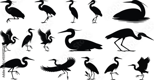 Silhouette vector of heron birds walking, flying, fishing and standing in various poses