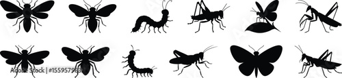 Flying and crawling insect vector silhouette composed of bee, butterfly, mantis and larvae