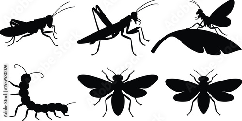 Silhouette insect vector icons of butterfly, winged bee, grasshopper and praying mantis