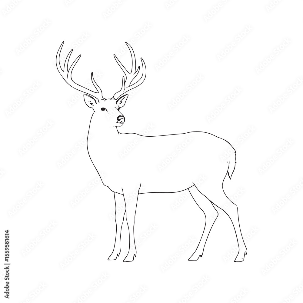 Fototapeta premium Line Art Deer with Antlers – Wildlife Outline Vector Illustration
