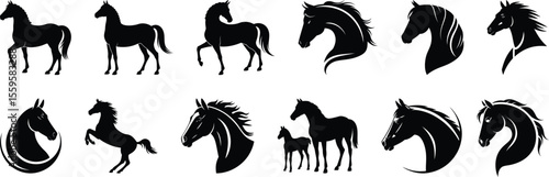 Walking And Powerful Horse Silhouette Vector Set With Motion And Outline Detail Concepts