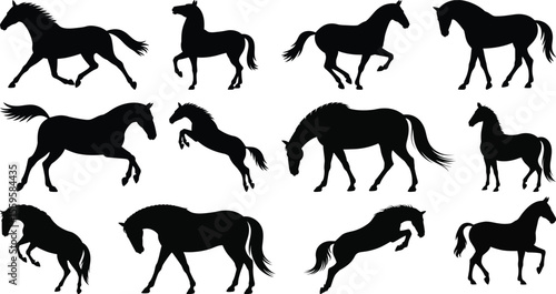 Horse silhouette vector set with rearing, walking, running, and grazing poses for animal, equestrian, and farm design