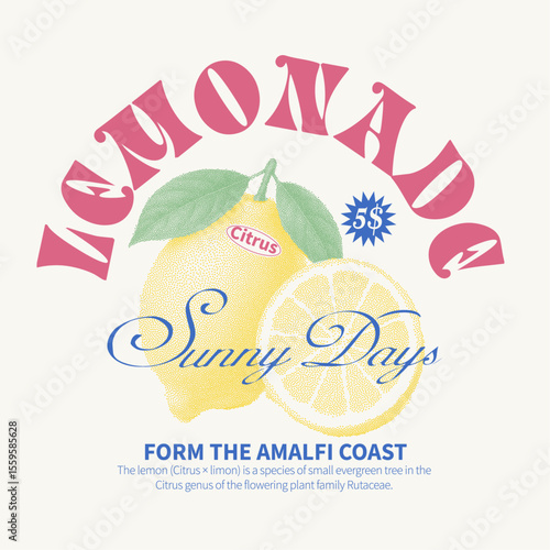 Lemonade sunny days slogan vector graphics. retro vintage fruit print design. Citrus t-shirt design. womens girls graphic tee print. lemon fruit print graphic.