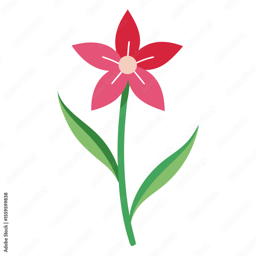 Fototapeta premium catch-fly flower isolated on white
