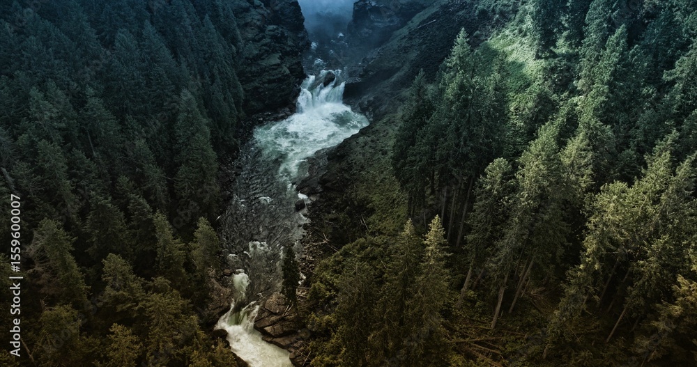 Fototapeta premium Beautiful dark forest with waterfall