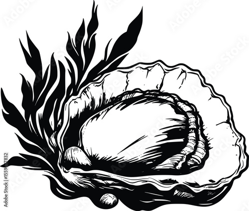 Elegant vector oyster illustration: dark- detailed- seaweed design