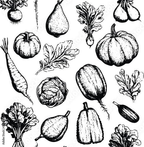 Hand-drawn vector autumn harvest: vegetables seamless pattern illustration