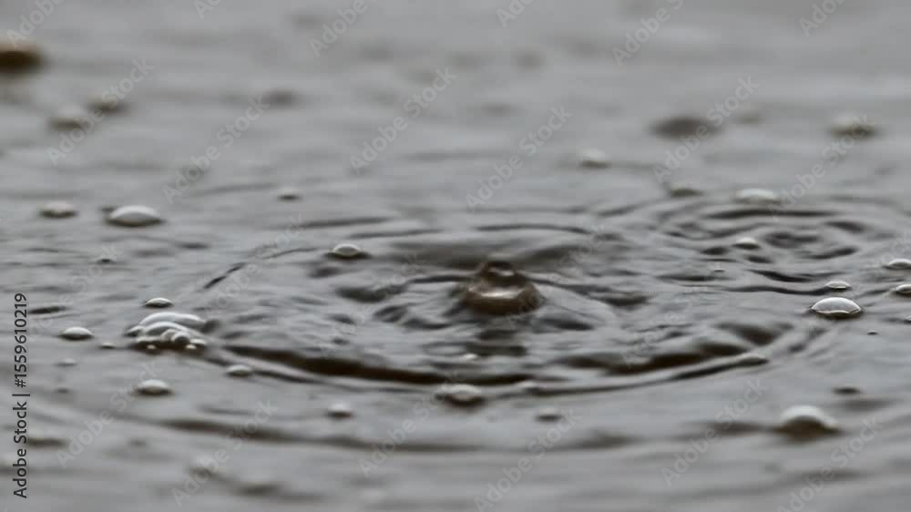 Droplet impact on liquid surface Droplet impact on liquid surface