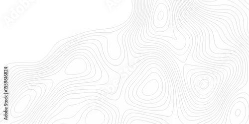 Abstract topography pattern seamless lines sea map modern design white background. Abstract digital topographic contour map concept space geometric strip grid line. Natural discovery of maps.	