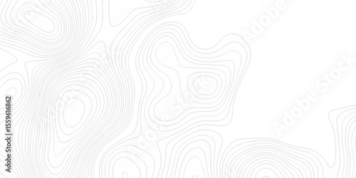 Abstract topography pattern seamless lines sea map modern design white background. Abstract digital topographic contour map concept space geometric strip grid line. Natural discovery of maps.	