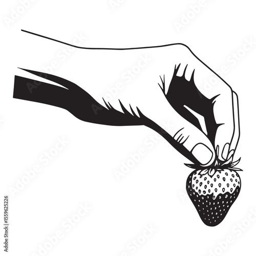 Hand delicately holding a ripe strawberry with a clean and minimal black and white illustration