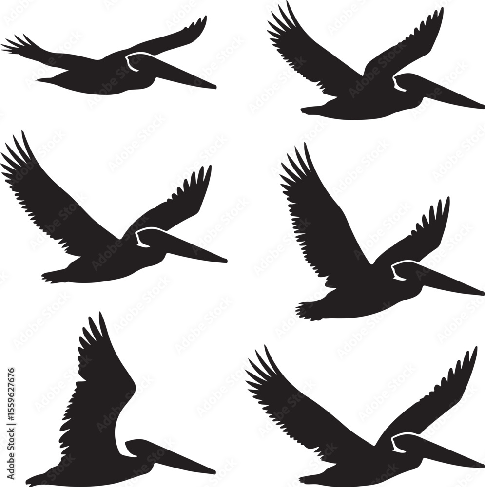 Obraz premium Six Black Pelican Silhouettes in Flight Various Poses