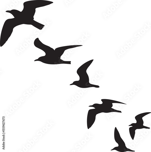 Black Silhouettes of Six Seagulls in Flight birds bird