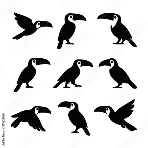 Silhouette illustrations of toucans in various poses, showcasing different perspectives and flight.