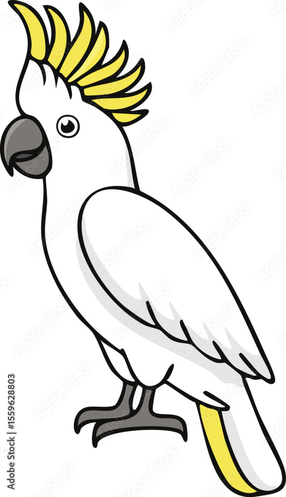 Obraz premium Outlined illustration of a Sulphur-crested Cockatoo, profile view.