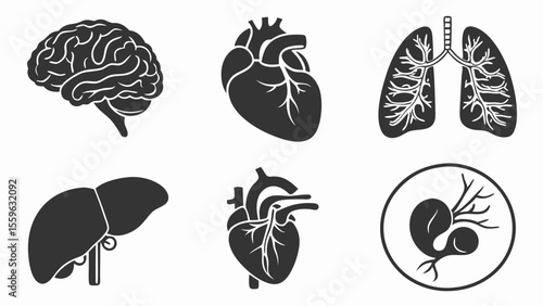 Black silhouettes of human organs