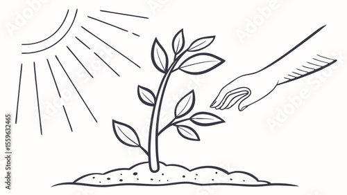 Hand nurturing a seedling under sunlight