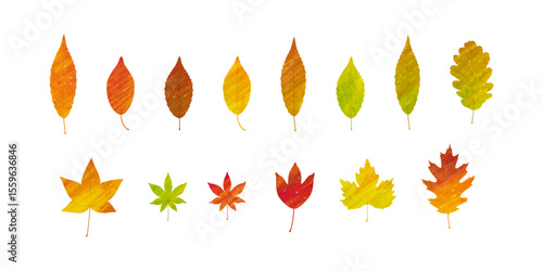 紅葉した秋の葉のベクターイラストセット　水彩絵の具の手描き風