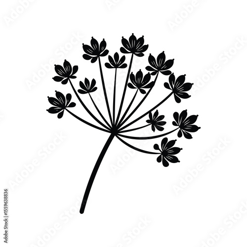 Elegant minimalist design of Angelica flower silhouette on a white background