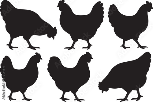 Chicken Silhouette Vector Set