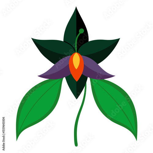 enchanter nightshade vector on white background