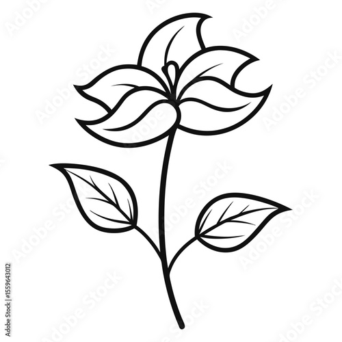 enchanter nightshade line art flower on-white