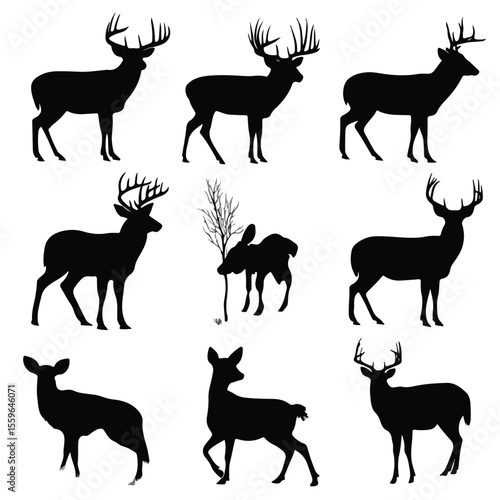 whitetail buck silhouette set, Black & White silhouette set