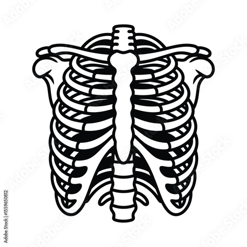 Black and White Rib Cage Skeleton Illustration for Anatomy or Halloween