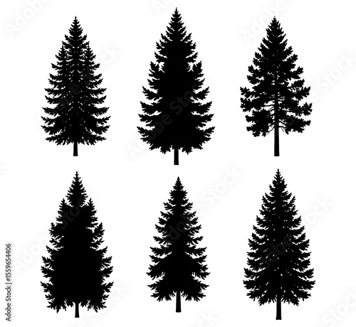 Silhouette of six evergreen trees against white background