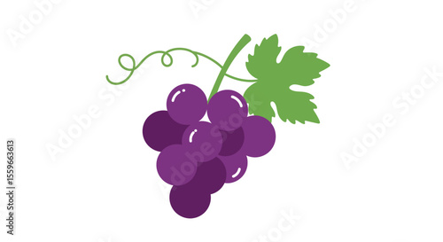 Purple grapes vector illustration for wine festival design in flat style