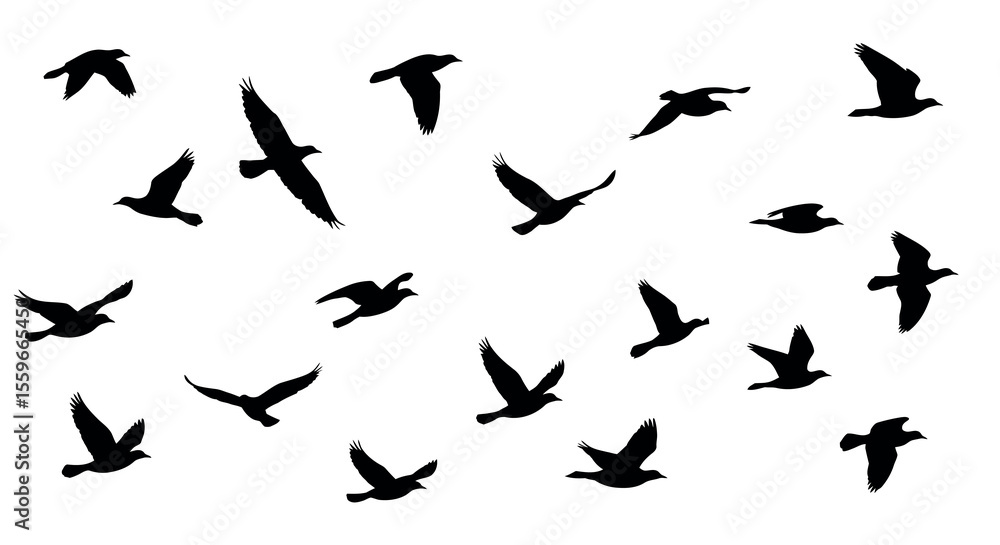 Silhouette bird flock vector illustration for nature poster design Silhouette bird flock vector illustration for nature poster design