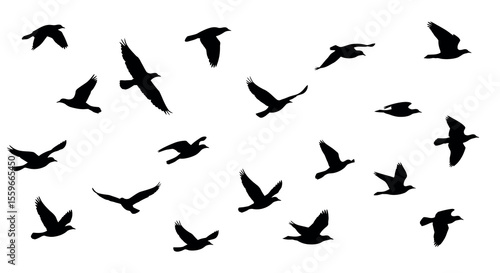 Silhouette bird flock vector illustration for nature poster design