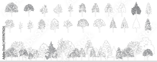 Minimal style cad tree line drawing, Side view, set of graphics trees elements outline symbol for architecture and landscape design drawing. Vector illustration. outdoor forest garden section
