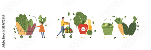 Fresh organic vegetable shopping concept with person selecting and placing greens, carrots, peppers in trolley and basket, local market produce illustration