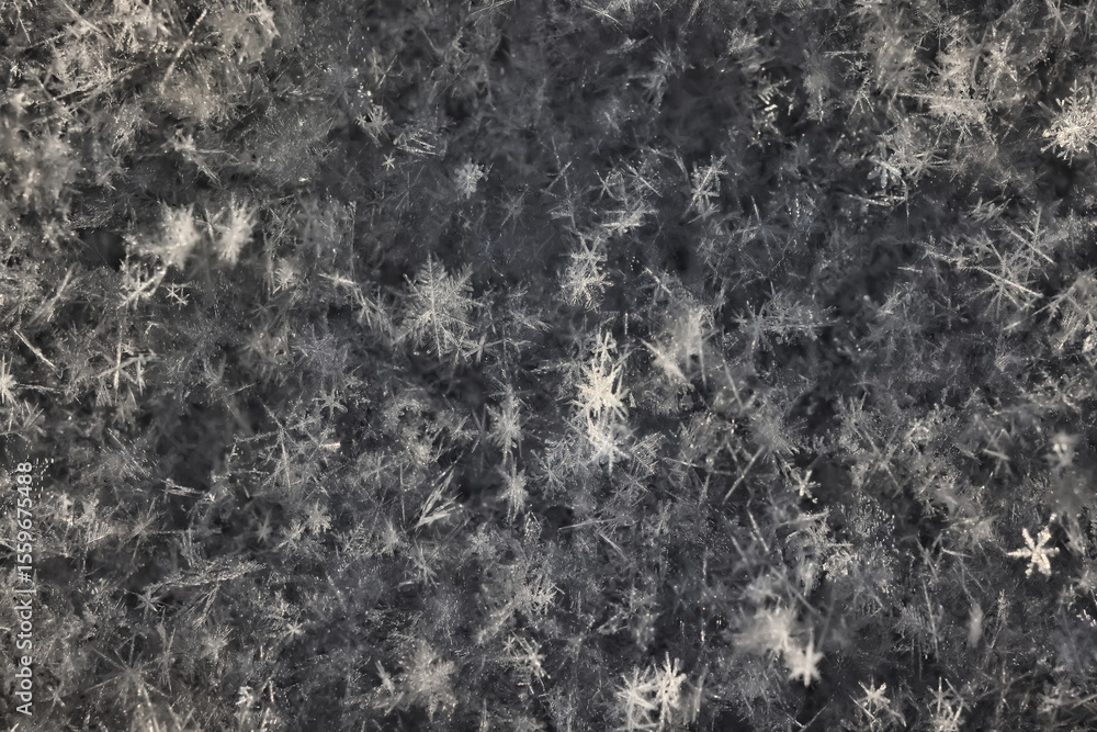 Obraz premium snow snowflake texture dark background, snow surface in winter, winter photography