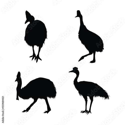 Set of southern cassowary black silhouettes vol 02