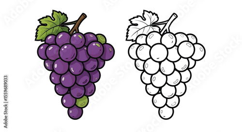 Grapes Coloring Page with Full Color and Outline Fruit Art Educational Kids Activity