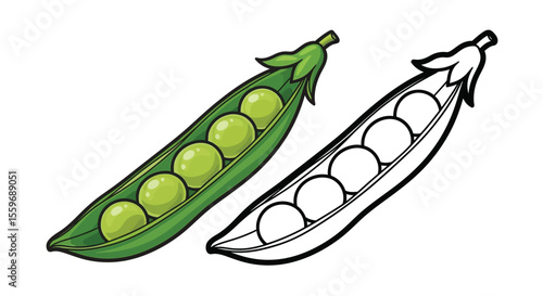 Green Pea Pods Coloring Page with Colored and Outline Styles for Kids Learning